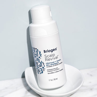 Blog - Meet Our Dry Shampoo That’s Good for Your Scalp + Hair