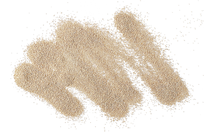 Blog - Ingredient Spotlight: Ceramides