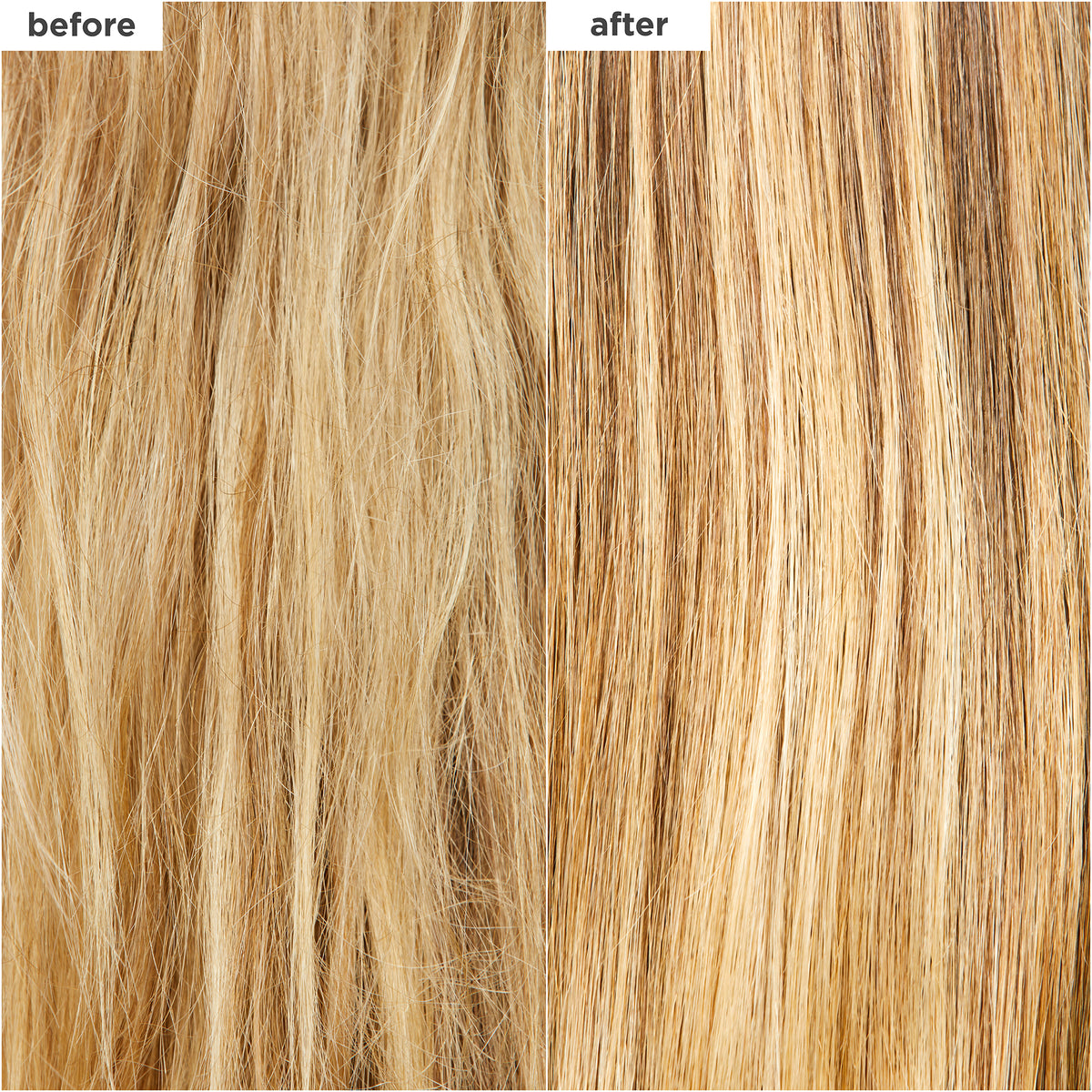 Don't Despair, Repair! MegaStrength+ Rice Water Protein + Moisture Strengthening Treatment
