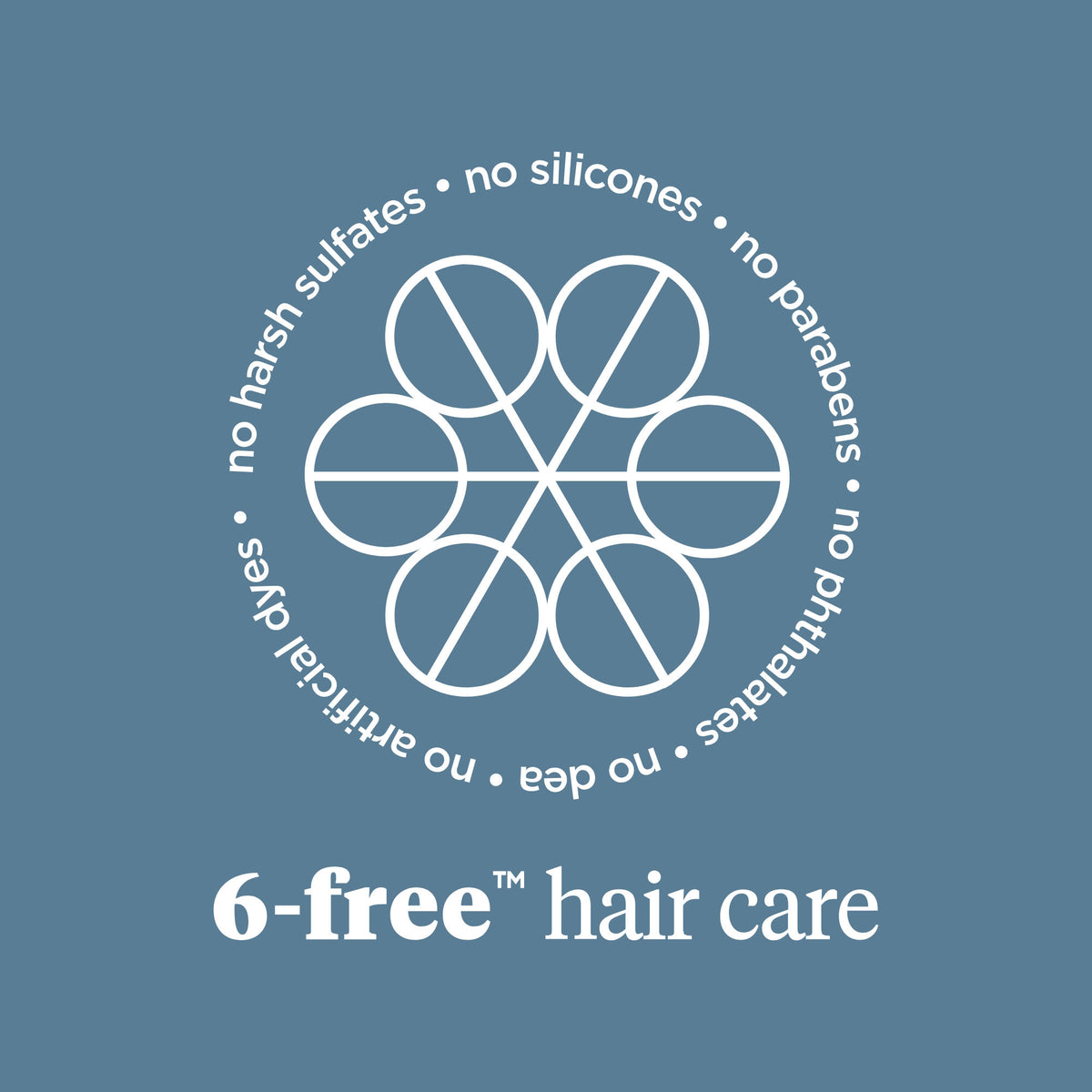 Scalp Revival Charcoal + Tea Tree Buildup Detox Spray