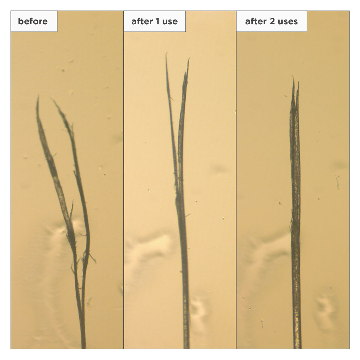 Don’t Despair, Repair!™ Moisture + Damage Defense Leave-In Treatment