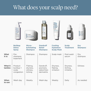 Scalp Revival™ Scrub + Hydration Duo