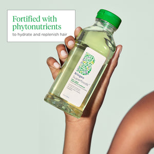 Superfoods Matcha + Apple Replenishing Superfood Shampoo