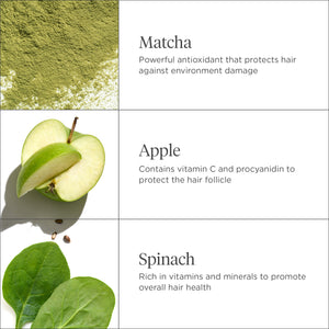 Superfoods Matcha + Apple Replenishing Superfood Shampoo