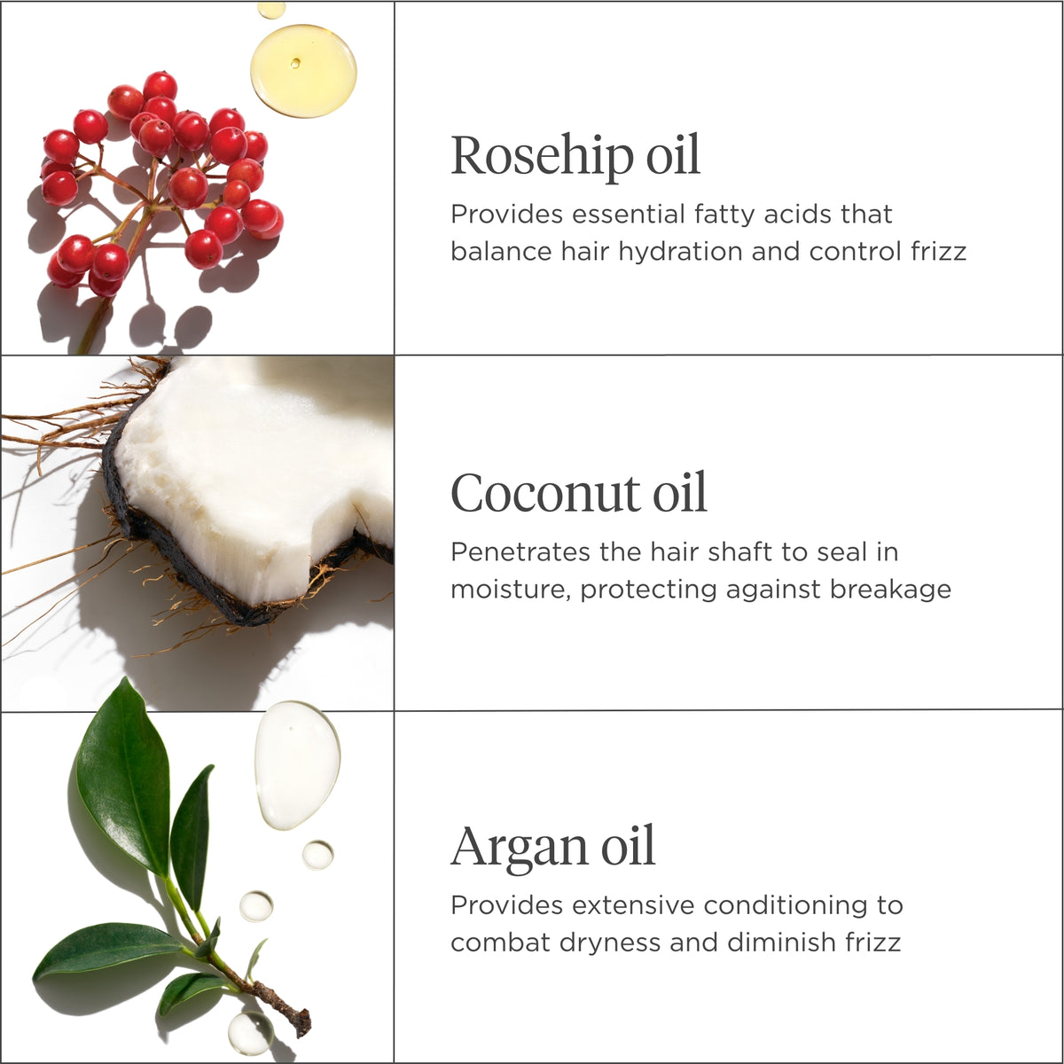 Farewell Frizz Rosehip, Argan & Coconut Oil Blend