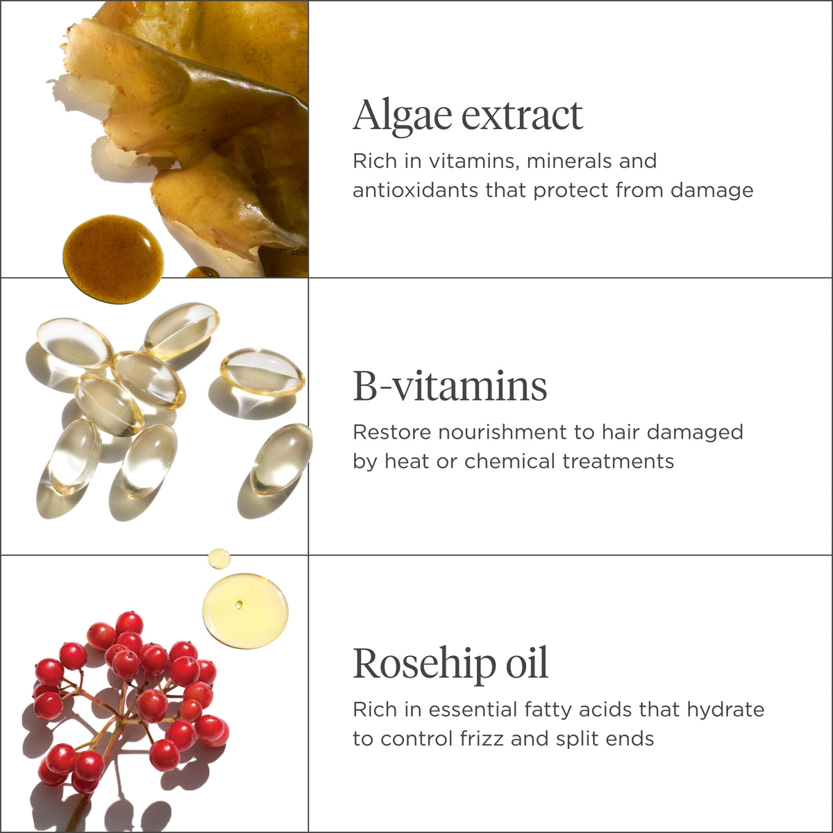 Don't Despair, Repair! Strengthen + Repair Hair Care Minis