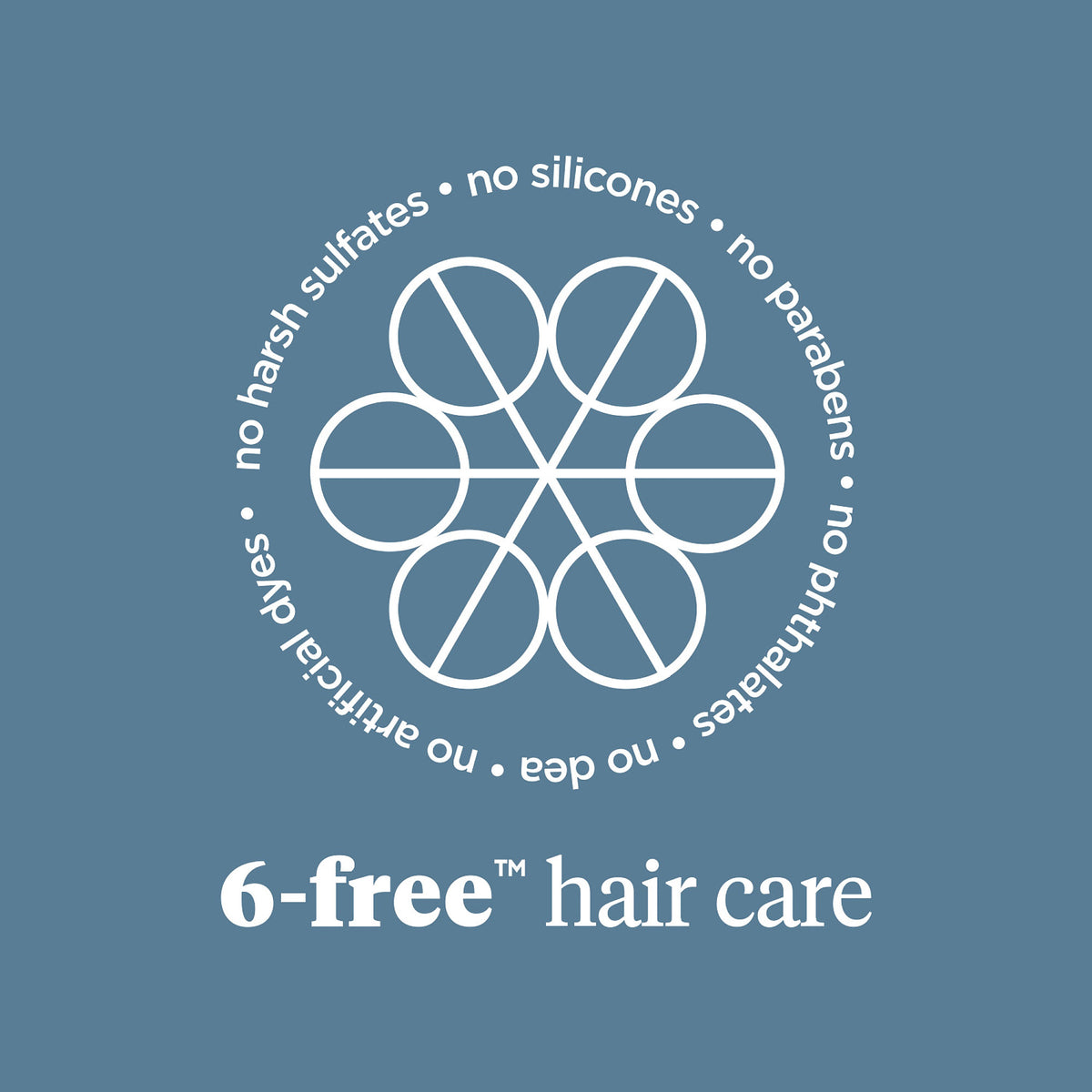 Scalp Revival Soothe + Detoxify Hair Care Minis