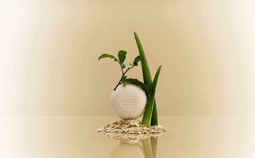 Ingredient Spotlight: the soothing benefits of Colloidal Oatmeal