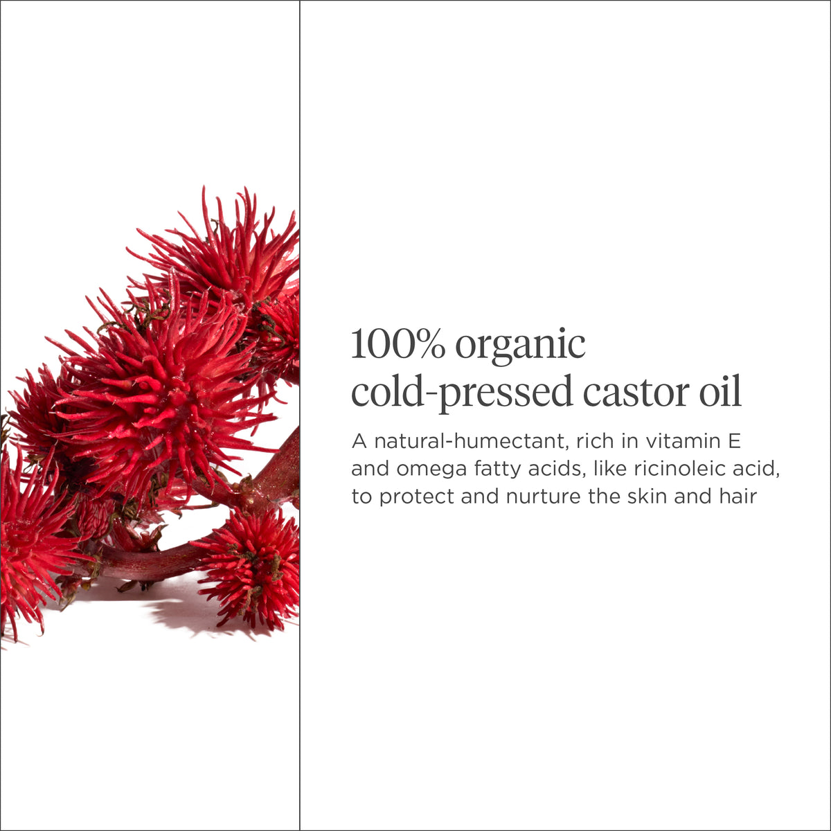 Curl Charisma™ Organic + Cold-Pressed 100% Castor Oil