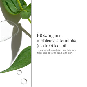 Scalp Revival™ Organic + Australian 100% Tea Tree Skin & Scalp Oil
