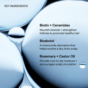 Scalp Revival™ Jumbo Rosemary Pre-Wash Oil for Hair and Scalp