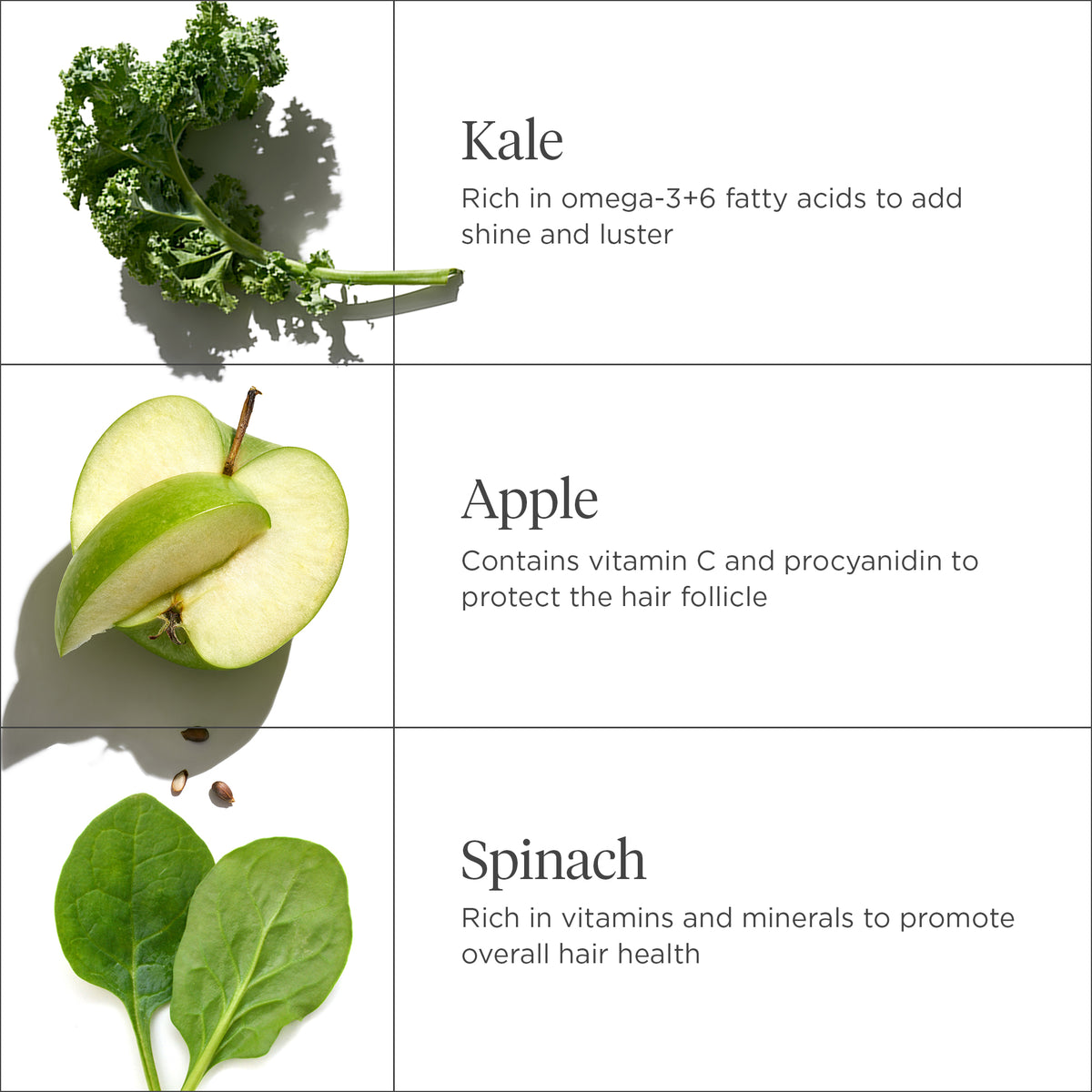Superfoods Kale + Apple Replenishing Superfood Conditioner Jumbo Refill
