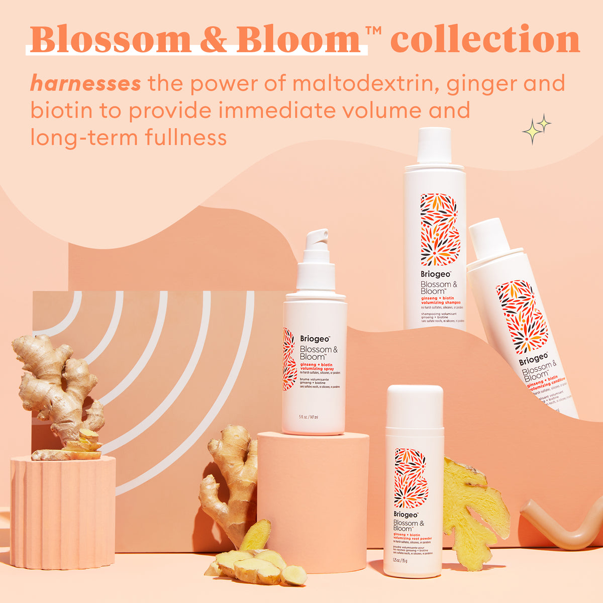 Blossom & Bloom Ginseng + Biotin Volumizing Blow Dry Spray